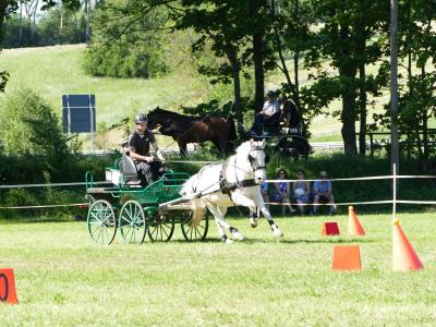 Foto des Albums: Fahrturnier Hilders 2019