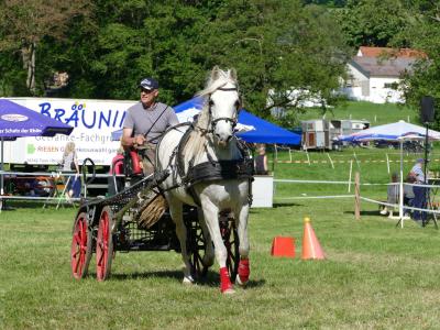 Foto des Albums: Fahrturnier Hilders 2019