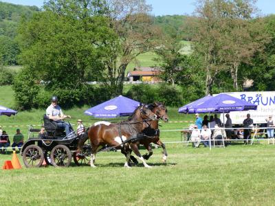 Foto des Albums: Fahrturnier Hilders 2019