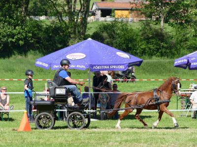 Foto des Albums: Fahrturnier Hilders 2019