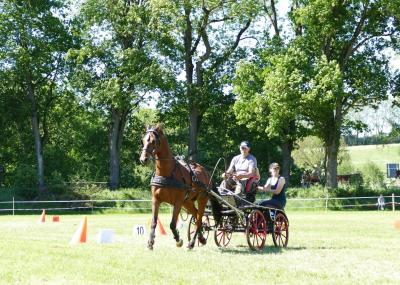 Foto des Albums: Fahrturnier Hilders 2019