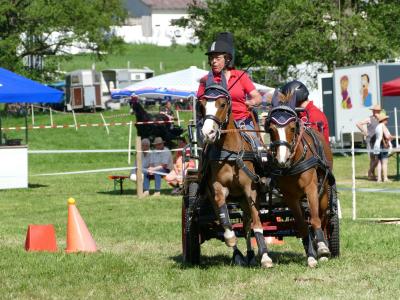 Foto des Albums: Fahrturnier Hilders 2019