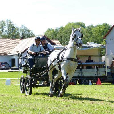 Foto des Albums: Fahrturnier Hilders 2019