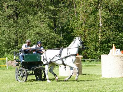 Foto des Albums: Fahrturnier Hilders 2019
