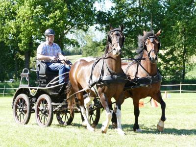 Foto des Albums: Fahrturnier Hilders 2019