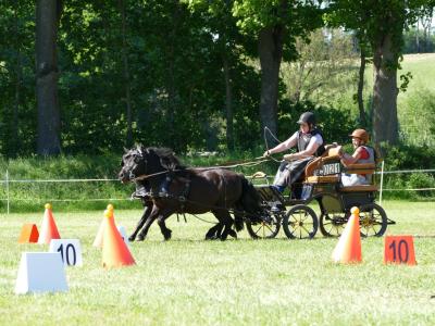 Foto des Albums: Fahrturnier Hilders 2019