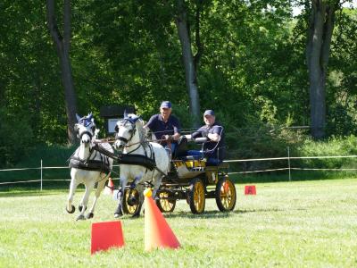 Foto des Albums: Fahrturnier Hilders 2019