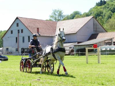 Foto des Albums: Fahrturnier Hilders 2019