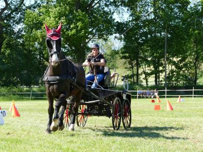 Foto des Albums: Fahrturnier Hilders 2019