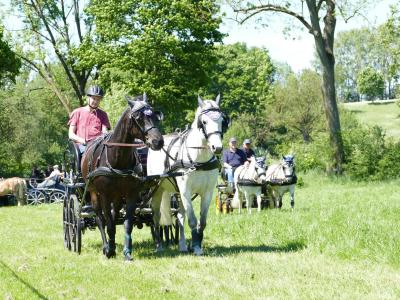 Foto des Albums: Fahrturnier Hilders 2019