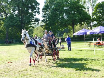 Foto des Albums: Fahrturnier Hilders 2019