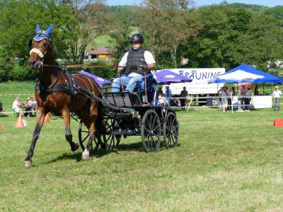 Foto des Albums: Fahrturnier Hilders 2019