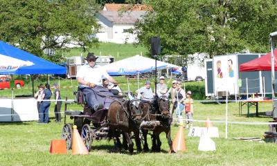 Foto des Albums: Fahrturnier Hilders 2019