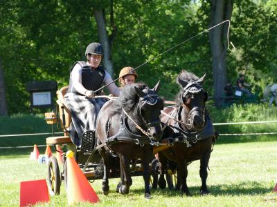 Foto des Albums: Fahrturnier Hilders 2019