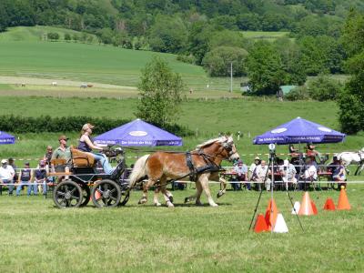 Foto des Albums: Fahrturnier Hilders 2019