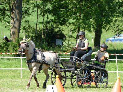 Foto des Albums: Fahrturnier Hilders 2019