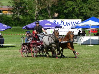 Foto des Albums: Fahrturnier Hilders 2019