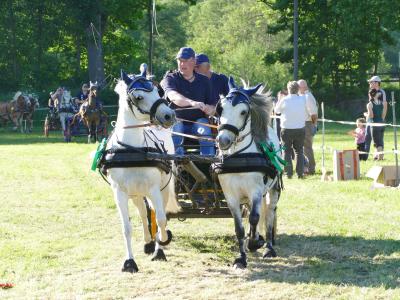Foto des Albums: Fahrturnier Hilders 2019