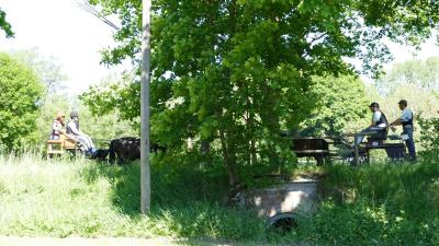 Foto des Albums: Fahrturnier Hilders 2019