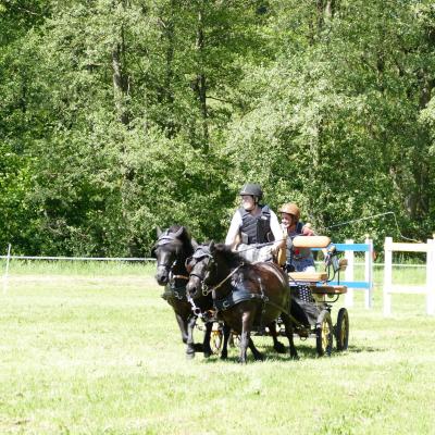 Foto des Albums: Fahrturnier Hilders 2019