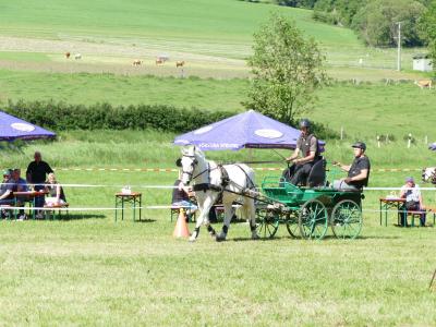 Foto des Albums: Fahrturnier Hilders 2019