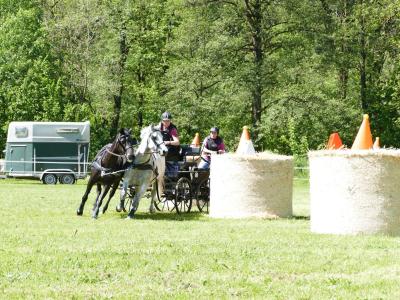 Foto des Albums: Fahrturnier Hilders 2019