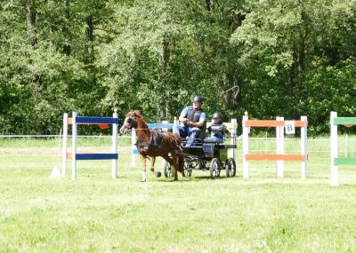 Foto des Albums: Fahrturnier Hilders 2019