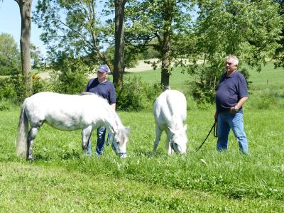Foto des Albums: Fahrturnier Hilders 2019