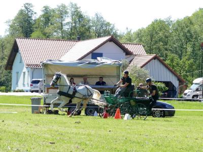 Foto des Albums: Fahrturnier Hilders 2019