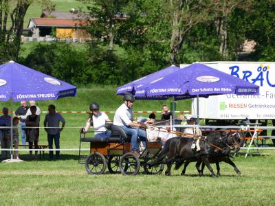 Foto des Albums: Fahrturnier Hilders 2019