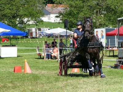 Foto des Albums: Fahrturnier Hilders 2019