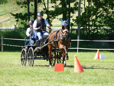Foto des Albums: Fahrturnier Hilders 2019