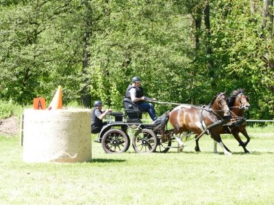 Foto des Albums: Fahrturnier Hilders 2019