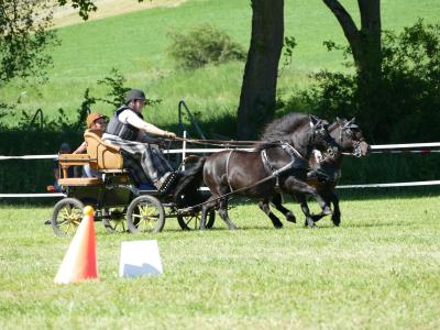 Foto des Albums: Fahrturnier Hilders 2019