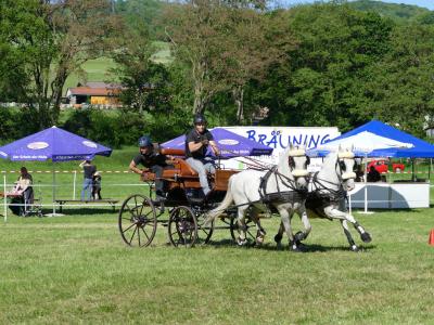 Foto des Albums: Fahrturnier Hilders 2019