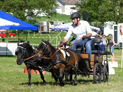 Foto des Albums: Fahrturnier Hilders 2019