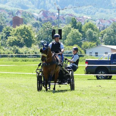 Foto des Albums: Fahrturnier Hilders 2019