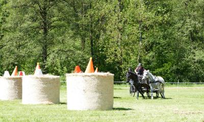Foto des Albums: Fahrturnier Hilders 2019