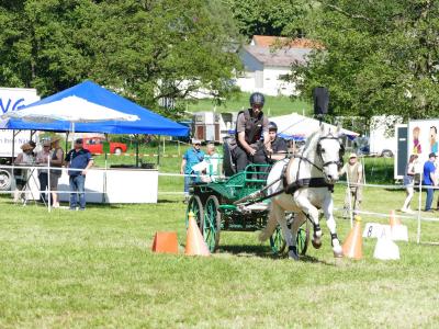 Foto des Albums: Fahrturnier Hilders 2019