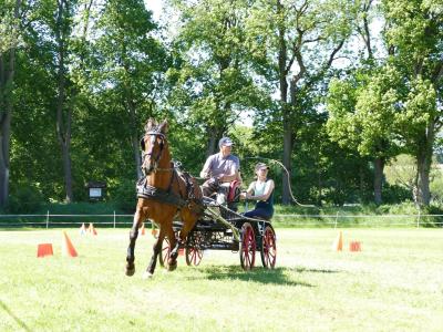 Foto des Albums: Fahrturnier Hilders 2019