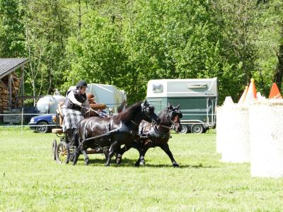 Foto des Albums: Fahrturnier Hilders 2019