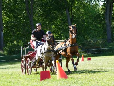 Foto des Albums: Fahrturnier Hilders 2019