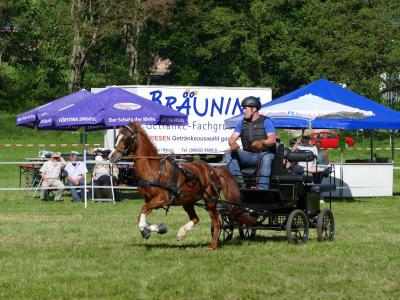 Foto des Albums: Fahrturnier Hilders 2019