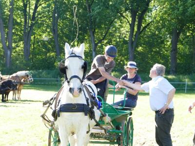 Foto des Albums: Fahrturnier Hilders 2019