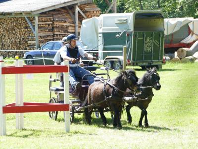 Foto des Albums: Fahrturnier Hilders 2019