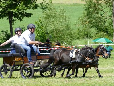 Foto des Albums: Fahrturnier Hilders 2019