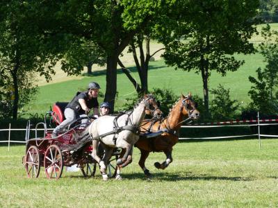 Foto des Albums: Fahrturnier Hilders 2019