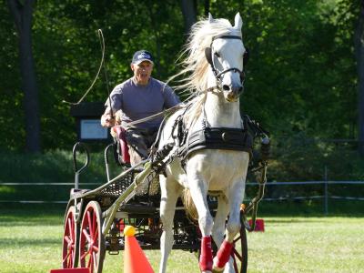 Foto des Albums: Fahrturnier Hilders 2019