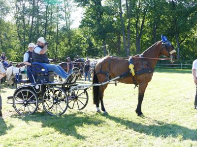 Foto des Albums: Fahrturnier Hilders 2019