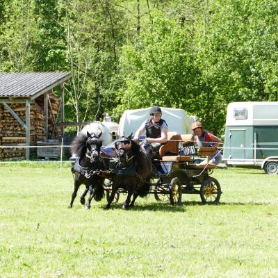 Foto des Albums: Fahrturnier Hilders 2019